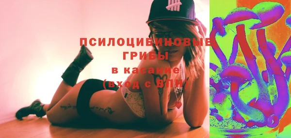 шишки Алексеевка