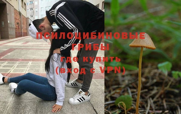 кокс Алексин