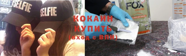 кокс Алексин