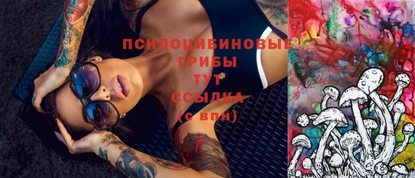кокс Алексин