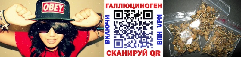 Галлюциногенные грибы Magic Shrooms купить наркотики сайты KRAKEN зеркало Черепаново